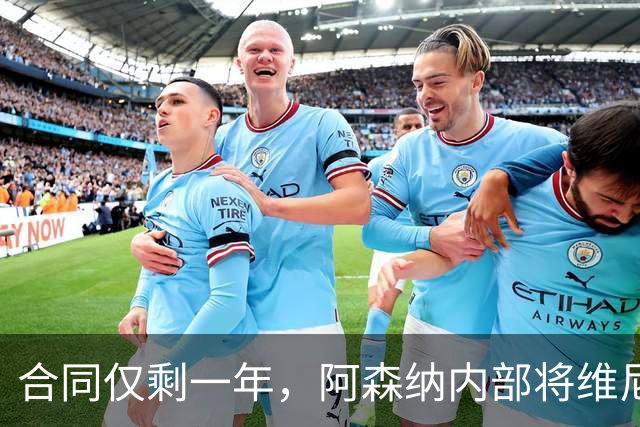 合同仅剩一年，阿森纳内部将维尼修斯列为头号目标，阿尔特塔很着迷