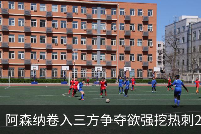 阿森纳卷入三方争夺欲强挖热刺28岁带刀中卫 球员合同至2029年